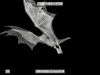 POTTER_GOBLET_OF_FIRE_BONUS-155.jpg