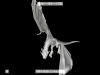 POTTER_GOBLET_OF_FIRE_BONUS-15_.jpg