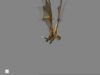 POTTER_GOBLET_OF_FIRE_BONUS-161.jpg