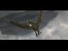 POTTER_GOBLET_OF_FIRE_BONUS-168.jpg