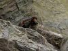 POTTER_GOBLET_OF_FIRE_BONUS-1_5.jpg