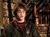 POTTER_GOBLET_OF_FIRE_BONUS-217.jpg