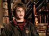 POTTER_GOBLET_OF_FIRE_BONUS-24_.jpg