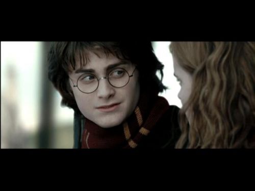 POTTER_GOBLET_OF_FIRE_BONUS-002.jpg