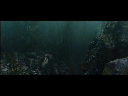 Click to view full size image
==============
POTTER_GOBLET_OF_FIRE_BONUS-024.jpg POTTER_GOBLET_OF_FIRE_BONUS-024.jpg