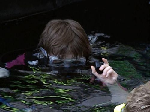 POTTER_GOBLET_OF_FIRE_BONUS-044.jpg