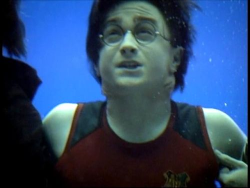 Click to view full size image
==============
POTTER_GOBLET_OF_FIRE_BONUS-086.jpg POTTER_GOBLET_OF_FIRE_BONUS-086.jpg