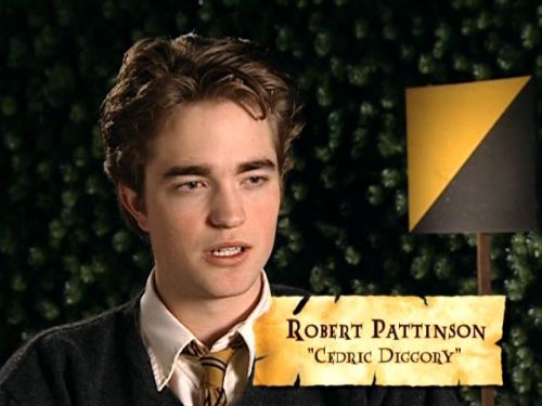 POTTER_GOBLET_OF_FIRE_BONUS-16_.jpg
