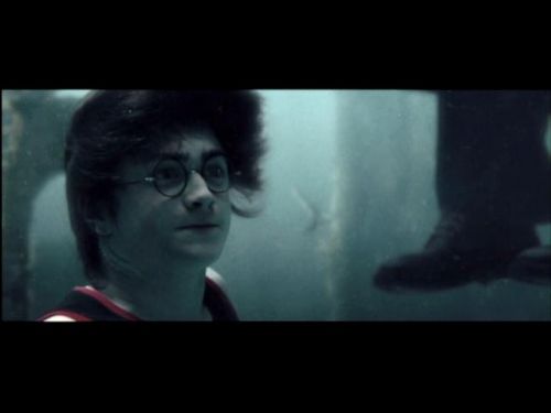 Click to view full size image
==============
POTTER_GOBLET_OF_FIRE_BONUS-16_~0.jpg POTTER_GOBLET_OF_FIRE_BONUS-16_~0.jpg
