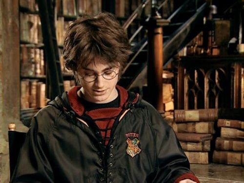 POTTER_GOBLET_OF_FIRE_BONUS-177.jpg