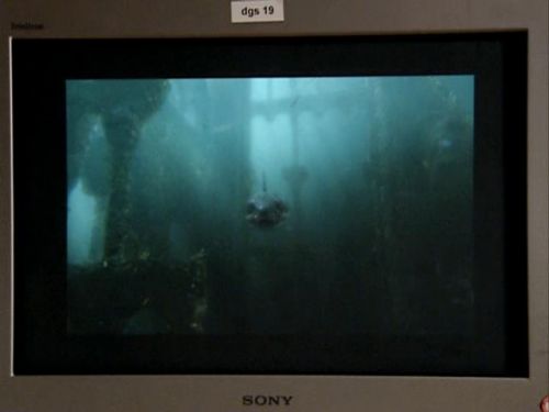 POTTER_GOBLET_OF_FIRE_BONUS-18_.jpg