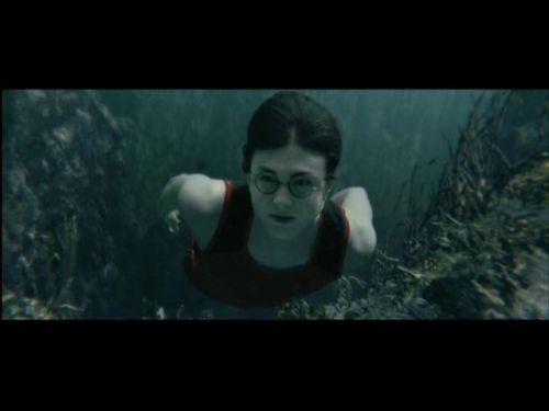 POTTER_GOBLET_OF_FIRE_BONUS-1_8.jpg