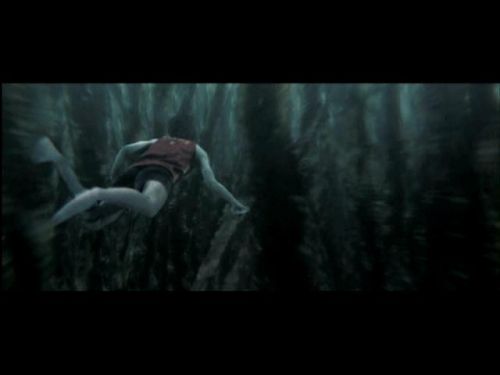 POTTER_GOBLET_OF_FIRE_BONUS-1__~0.jpg