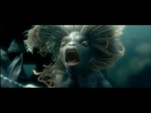 POTTER_GOBLET_OF_FIRE_BONUS-216.jpg