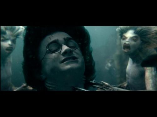 POTTER_GOBLET_OF_FIRE_BONUS-218.jpg