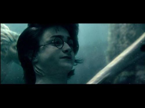 POTTER_GOBLET_OF_FIRE_BONUS-221.jpg