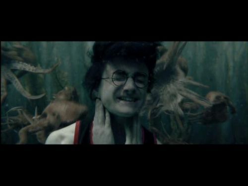 Click to view full size image
==============
POTTER_GOBLET_OF_FIRE_BONUS-248.jpg POTTER_GOBLET_OF_FIRE_BONUS-248.jpg
