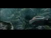 POTTER_GOBLET_OF_FIRE_BONUS-020.jpg