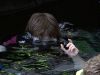 POTTER_GOBLET_OF_FIRE_BONUS-044.jpg