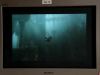 POTTER_GOBLET_OF_FIRE_BONUS-18_.jpg