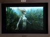 POTTER_GOBLET_OF_FIRE_BONUS-21_.jpg