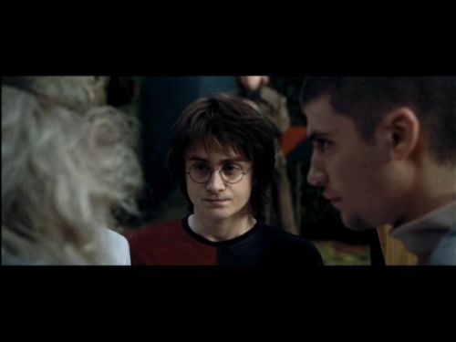 POTTER_GOBLET_OF_FIRE_BONUS-002.jpg
