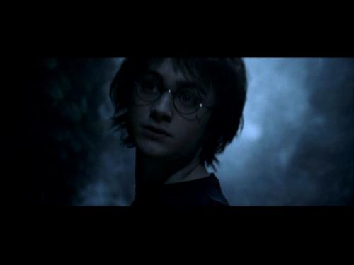 POTTER_GOBLET_OF_FIRE_BONUS-016.jpg