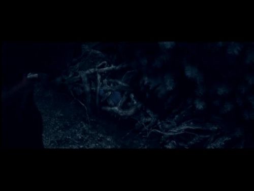 POTTER_GOBLET_OF_FIRE_BONUS-025.jpg