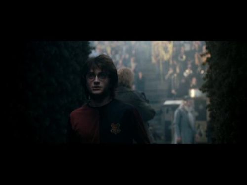 POTTER_GOBLET_OF_FIRE_BONUS-082.jpg