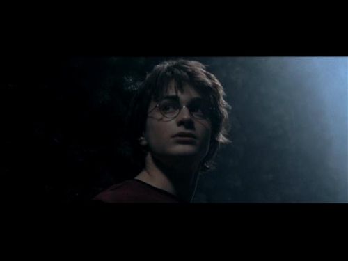 POTTER_GOBLET_OF_FIRE_BONUS-084.jpg