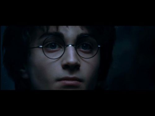 POTTER_GOBLET_OF_FIRE_BONUS-088.jpg