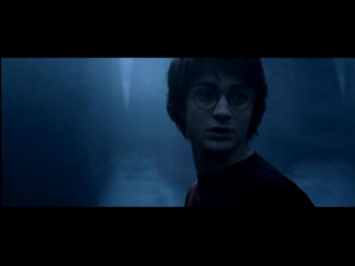 POTTER_GOBLET_OF_FIRE_BONUS-0_1~0.jpg