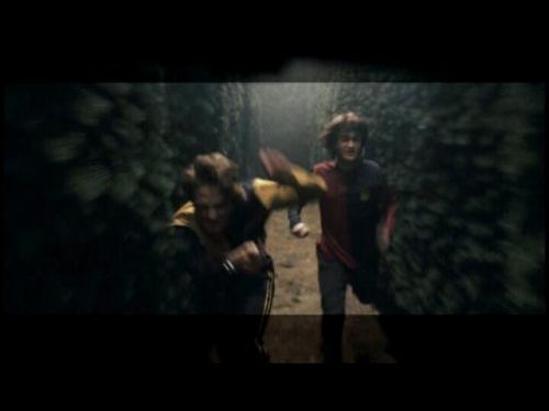 POTTER_GOBLET_OF_FIRE_BONUS-152.jpg