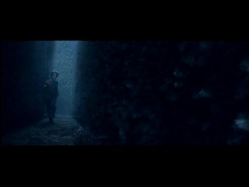 POTTER_GOBLET_OF_FIRE_BONUS-175.jpg