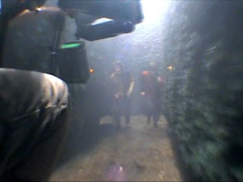 POTTER_GOBLET_OF_FIRE_BONUS-185.jpg