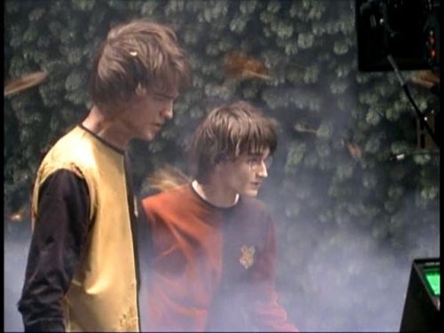 POTTER_GOBLET_OF_FIRE_BONUS-18_.jpg