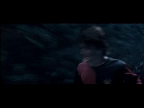 POTTER_GOBLET_OF_FIRE_BONUS-1_1~0.jpg