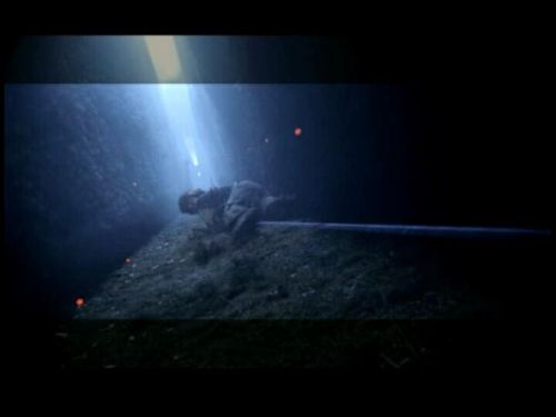 Click to view full size image
==============
POTTER_GOBLET_OF_FIRE_BONUS-208.jpg POTTER_GOBLET_OF_FIRE_BONUS-208.jpg