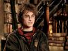 POTTER_GOBLET_OF_FIRE_BONUS-00_.jpg