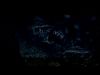 POTTER_GOBLET_OF_FIRE_BONUS-178.jpg