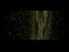 POTTER_GOBLET_OF_FIRE_BONUS-1_4.jpg