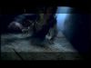 POTTER_GOBLET_OF_FIRE_BONUS-222.jpg