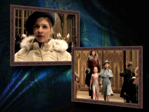 POTTER_GOBLET_OF_FIRE_BONUS-225.jpg