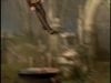POTTER_GOBLET_OF_FIRE_BONUS-166.jpg