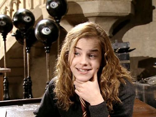 POTTER_GOBLET_OF_FIRE_BONUS-05_.jpg