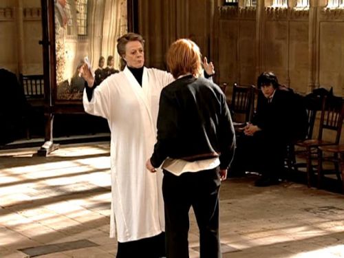 POTTER_GOBLET_OF_FIRE_BONUS-072.jpg