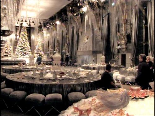 POTTER_GOBLET_OF_FIRE_BONUS-1_0.jpg