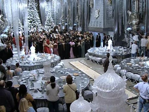 POTTER_GOBLET_OF_FIRE_BONUS-204.jpg