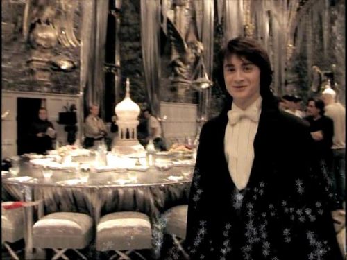 POTTER_GOBLET_OF_FIRE_BONUS-20_.jpg