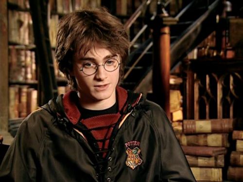 POTTER_GOBLET_OF_FIRE_BONUS-277.jpg